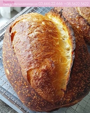 Bánh mì semola Bread - 100% men tự nhiên Sourdough