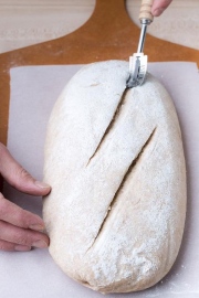 Phần lưỡi vẫn là dao lam rạch bánh mì lắp vào, tại sao lưỡi dao luôn được uốn cong?