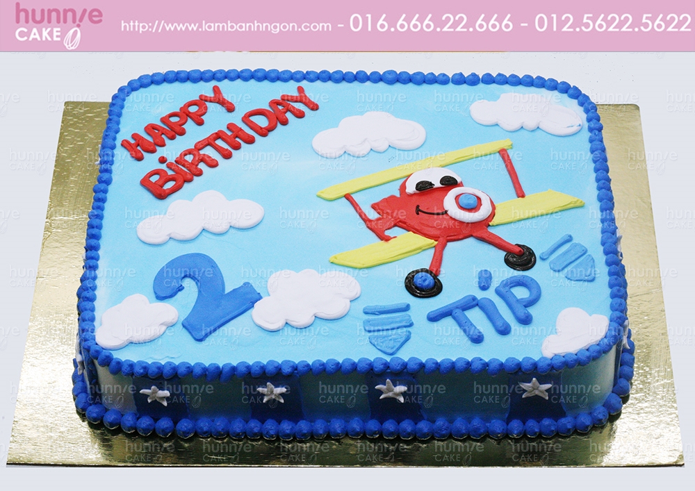 Bánh gato sinh nhật vẽ hình máy bay chủ đề phi công tặng